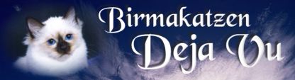 http://www.birmakatzen-dejavu.de