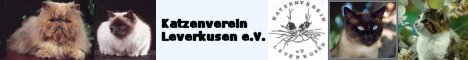 www.kvlev.de