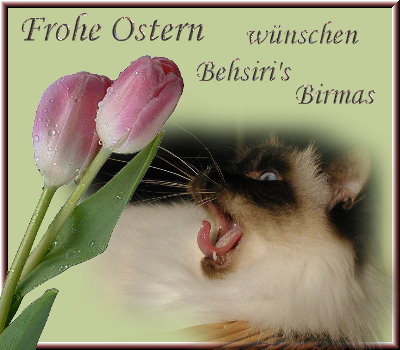 An den Beitrag angehängtes Bild: http://www.behsiris-heiligebirma.de/Elemente/Banner/ostern08.jpg